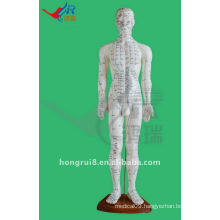 60CM Human Acupuncture Points Model,acupuncture human body model